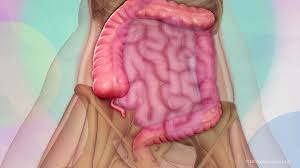 Appendix Cancer Treatment in Electronic City